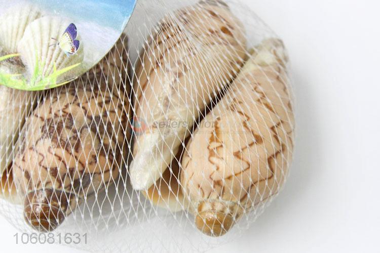 Good quality colorful seashell beach home decor