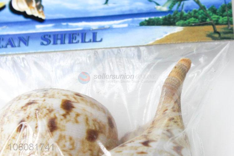 Best price natural conch shell for home decoration