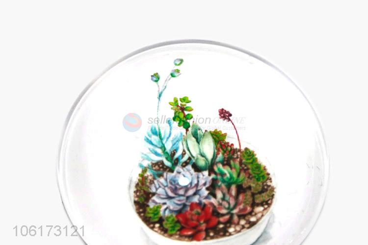 Great sales succulents design dome glass fridge magnet