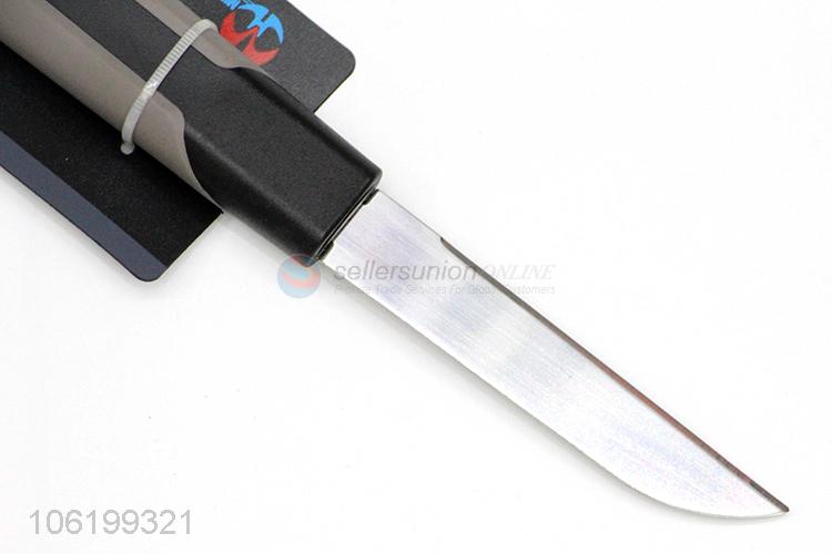 High Quality Stainless Steel Fruit Knife With Plastic Handle