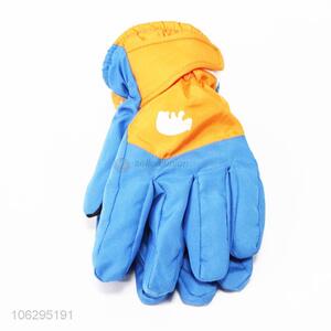 Factory Promotional Snowmobile Ski Sports Gloves