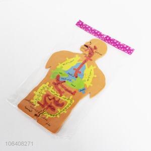 Best Selling Creative Human Body Eva Puzzle