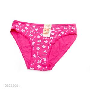 Good Quanlity Brief Women Sexy Underwear <em>Underpants</em>