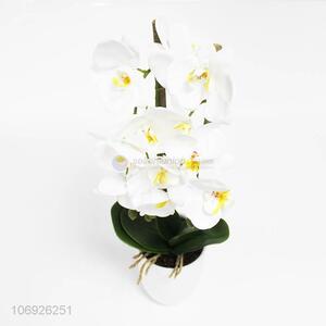 Hot sale home decoration simulation white phalaenopsis bonsai artificial flower