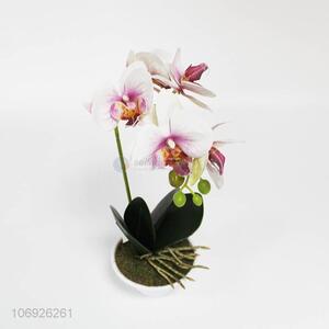 New products garden decoration simulation phalaenopsis artificial bonsai