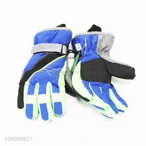 Cheap Cold Weather Winter Warm Snowboard Snowmobile Ski Gloves