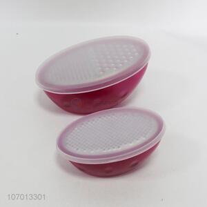 Best Quality 2 Pieces Vegetable Grater With Protective Cover