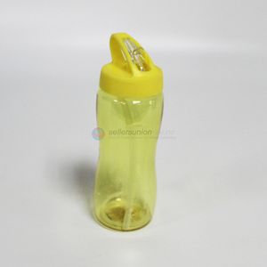 Good Quality Portable 650ml Water Bottle With Straw