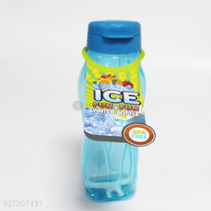 Promotional cheap portable bpa free plastic ice water bottle space bottle