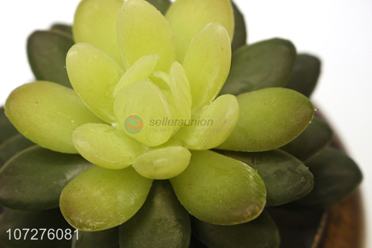 Good sale artificial succulent bonsai potted plant for garden decoration