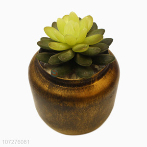 Good sale artificial succulent bonsai potted plant for garden decoration