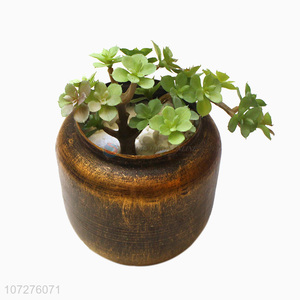 Factory direct sale mini potted plant for indoor & outdoor decoration