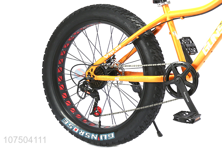 Factory Direct Sell Cool Style Mountain Bike Fat Tyre Snow Bike