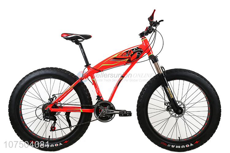 High-End 26 Inch Steel Frame Big Tire Fat Bike Snow Bicycle