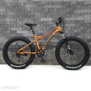 Factory Cheap Adult Bicycle 26 Inch Mountain Bike Snow Bike