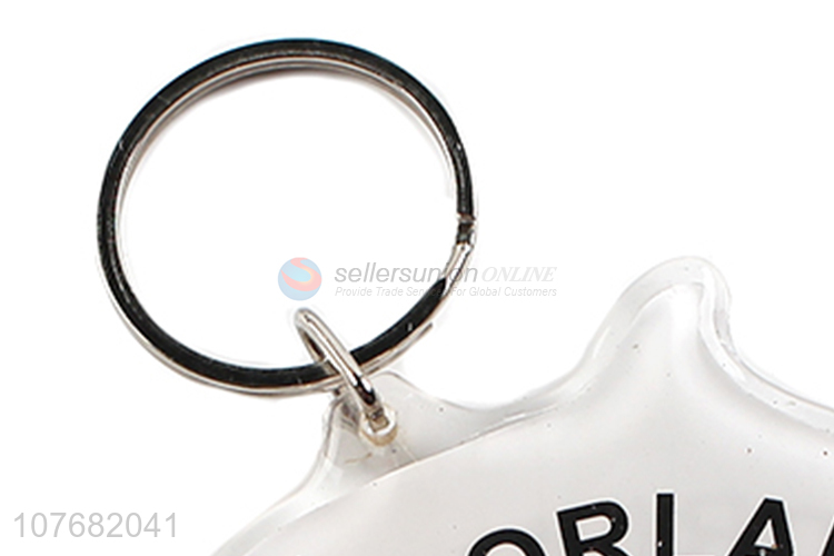 Good price dolphin key chain acrylic keyring for souvenir