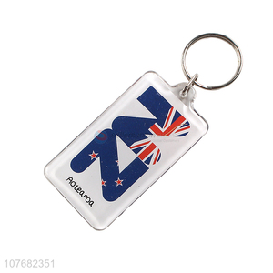 Recent products Aotearoa souvenir key chain acrylic keychain