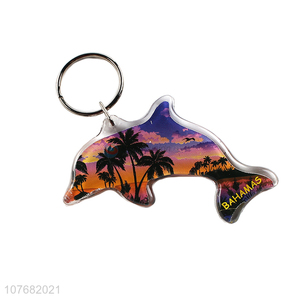 Good sale dolphin key chain acrylic keyring for souvenir