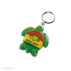 Recent products tortoise key chain acrylic keyring for souvenir