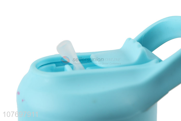 Wholesale Portable Water Bottle With Straw And Handle