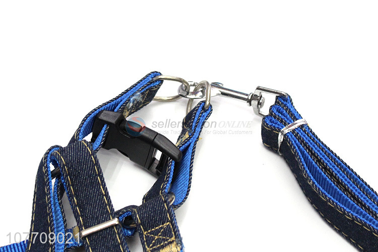 New arrival blue petsdurable leash with high quality