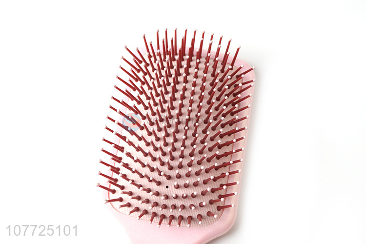 Professional hairbrush personalized shower bath hair comb