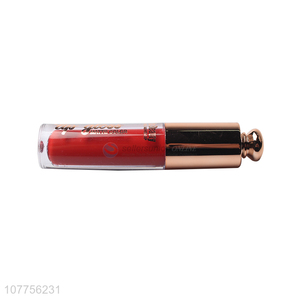 Hot sale cosmetic makeup <em>lip</em> <em>gloss</em> waterproof lipgloss