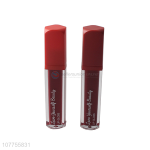 Makeup supplier brands professional natural cosmetics labial glair