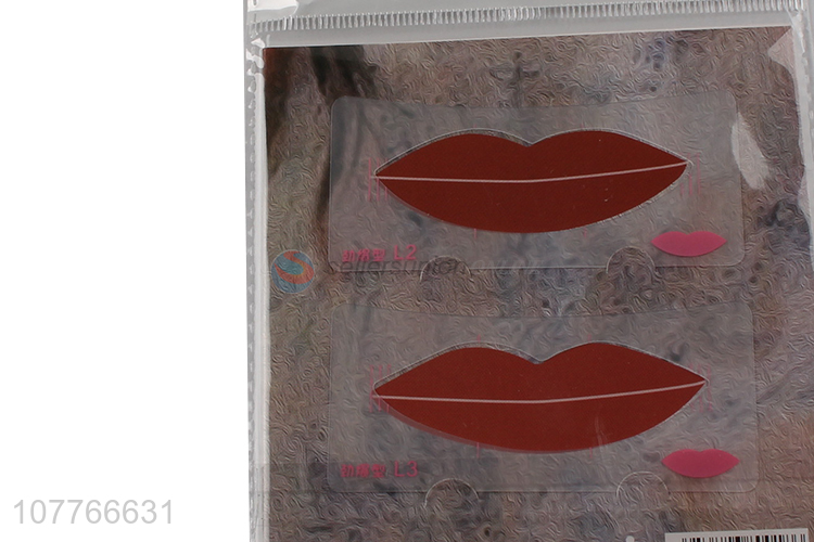 Wholesale women makeup tools three-in-one painting lip card