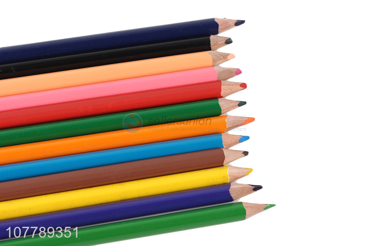 High quality colored pencil painting pencil coloring pencil