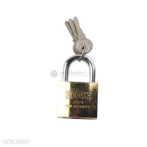 Wholesale top security hardened shackle iron padlock and keys