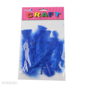 Latest Kids Creative Handcraft Decorative Feathers