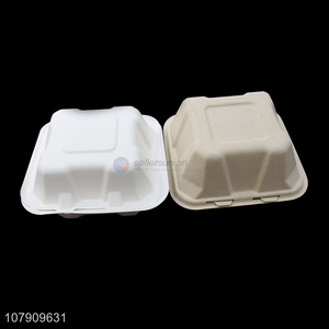 Factory wholesale disposable lunch box large capacity lunch box