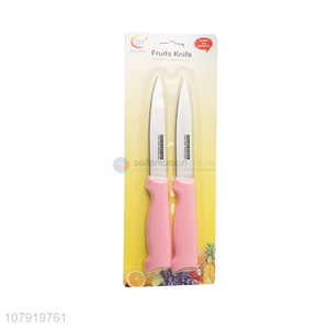 Factory Direct Sale 2 Pieces Fruit Knife Kitchen Knife Set