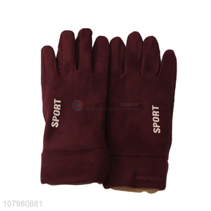 Hot Selling Ladies Winter Outdoor Warm Gloves Fashion Gloves