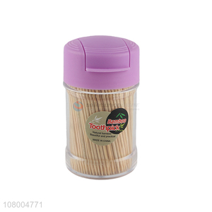 Good wholesale price plastic bottled toothpicks household toothpicks