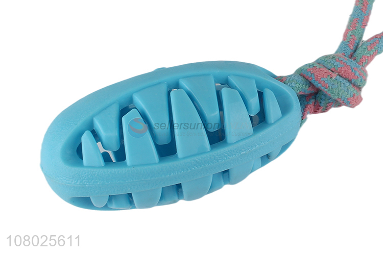 New arrival blue pet toy olive with rope pet chew toy