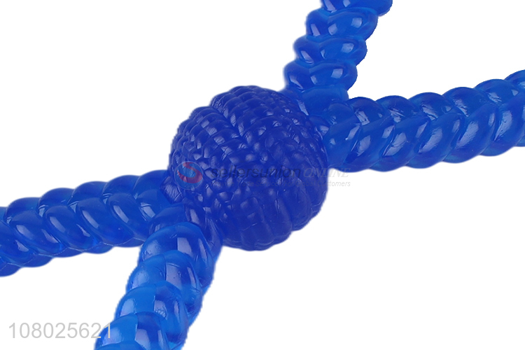 Hot selling blue transparent silicone pet chew toy