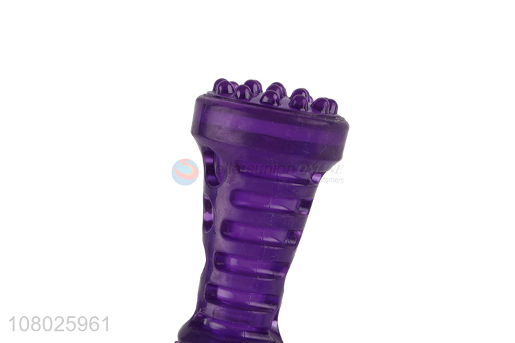 Explosive Purple Silicone Sounding Stick Pet Molar Toys for Sale