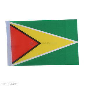 Online wholesale double-sided printing Guyana country flags