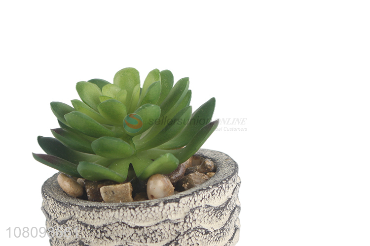 Fashion Simulation Succulent Plants Decorative Artificial Bonsai