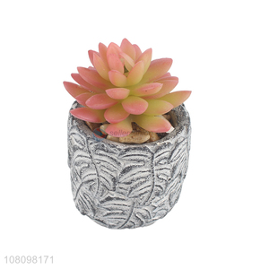 Latest Decorative Plastic Succulent Plants Simulation Potted Plant