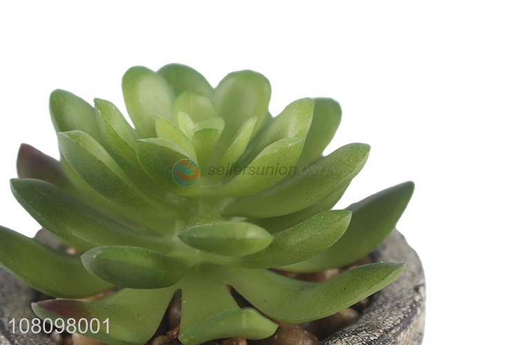 High Quality Artificial Succulents Simulation Potted Plant