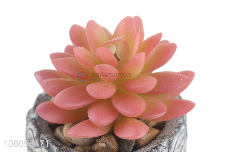 Latest Decorative Plastic Succulent Plants Simulation Potted Plant