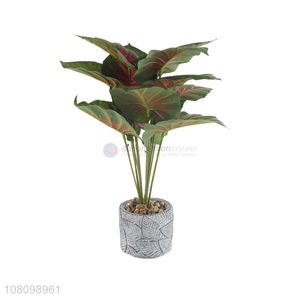 New Design Artificial Plant Simulation Bonsai With Good Quality