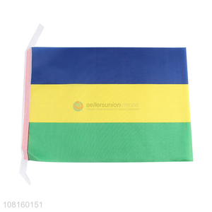 Good selling delicate design polyester mini national flags