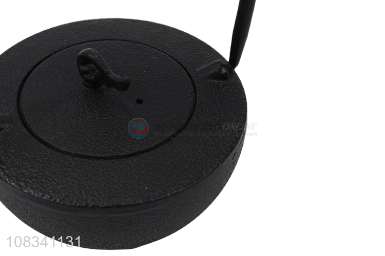 Online wholesale 0.45L stovetop safe cast iron teapot for loose tea