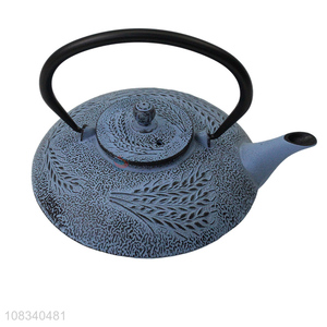 Factory price 0.8L enamel tea kettle cast iron teapot for fruit tea