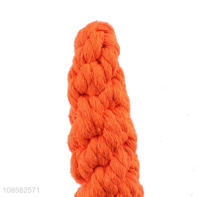 Most popular braided carrot dog chew toy teething toy