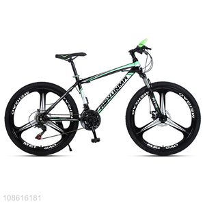 Factory price 24 inch 24 speed high-carbon steel frame anti-impact mountain bike